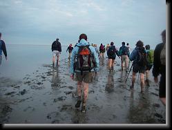 wadlopen_10 * 06.01.2008 * 1235 x 926 * (115KB)